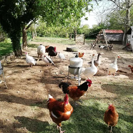 D'ici Et D'ailleurs Homestay *